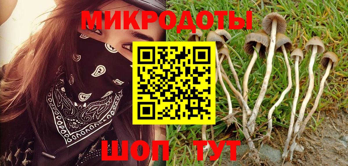 Псилоцибиновые грибы Cubensis  купить наркотики цена  Галлюциногенные грибы мицелий  Железногорск  Вход с VPN 